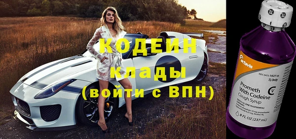 ГАЛЛЮЦИНОГЕННЫЕ ГРИБЫ Вязьма