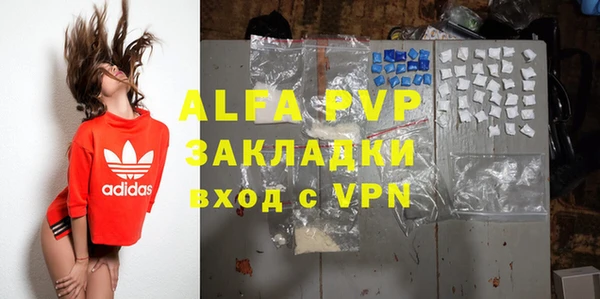 ГАЛЛЮЦИНОГЕННЫЕ ГРИБЫ Вязьма