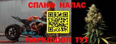 спиды Сланцы