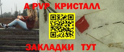 спиды Сланцы