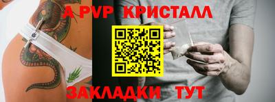 спиды Сланцы