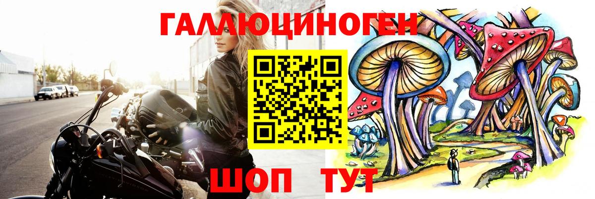 Галлюциногенные грибы мицелий Геленджик