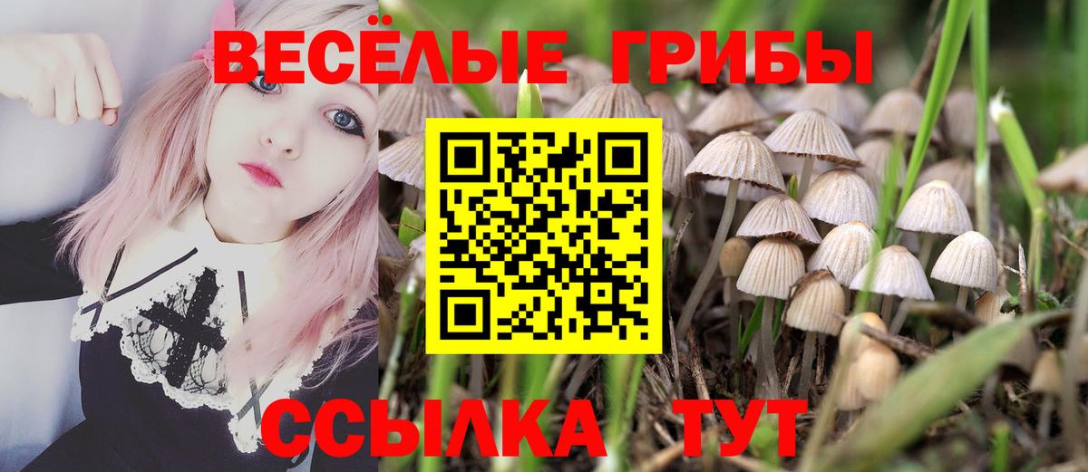 Геленджик  Псилоцибиновые грибы прущие грибы  Вход с VPN 